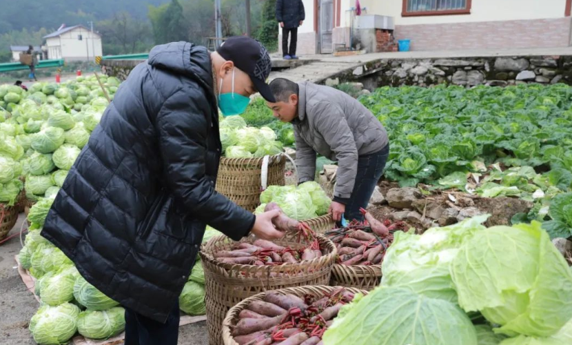 徐鼎盛：抗疫保供、助农纾困，一个都不能缺